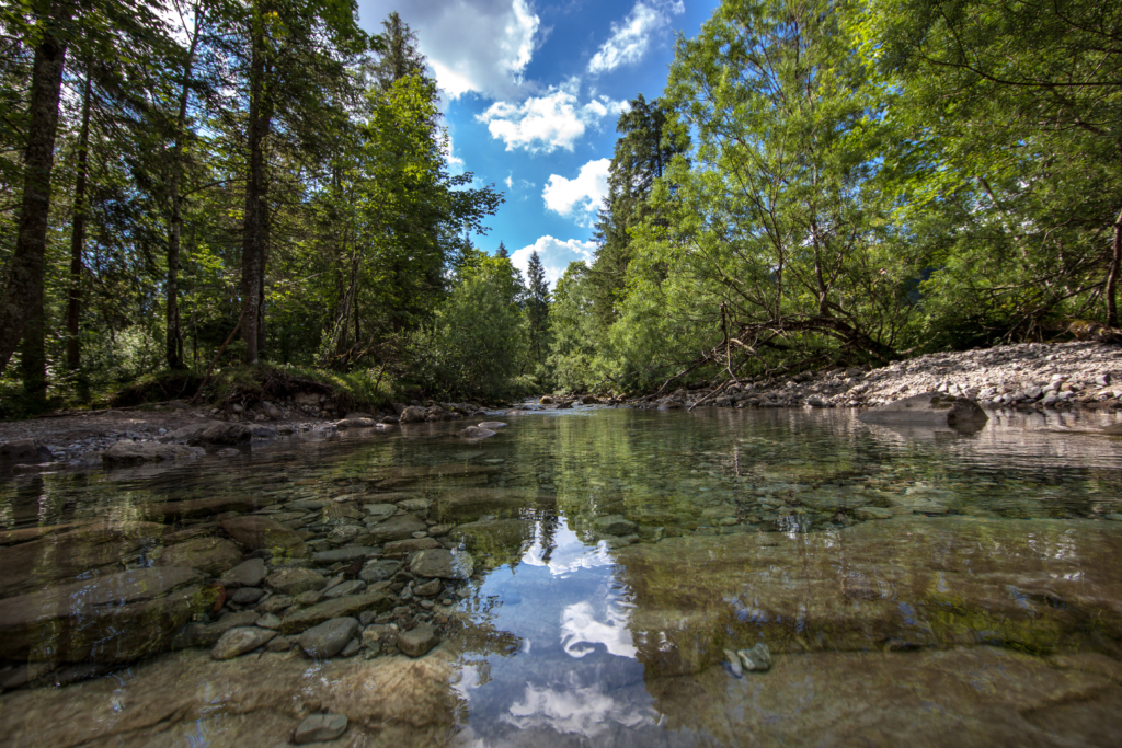 Wild Bathing Spot - Fischbach in Unken